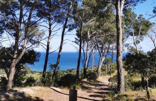 PETIT PARADIS - St MANDRIER VILLAGE - Foto 38