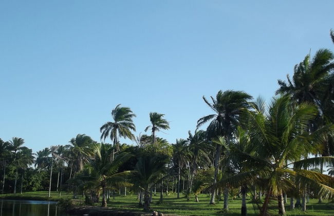 Hotel Fazenda Recanto - Foto 53