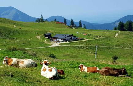 Haus Seehuber - Photo 18