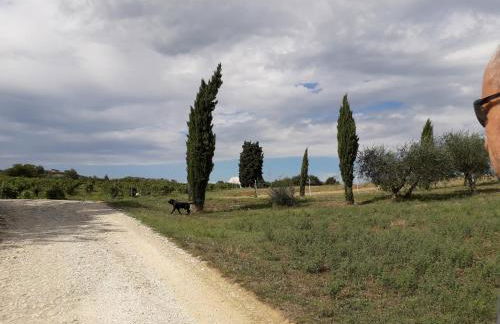 Villa Francesca - Foto 10