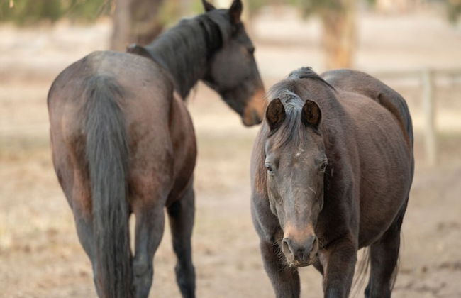 Merilli1885 - Private, Luxury Cottage - Foto 45