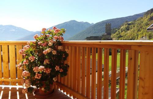 Ferienwohnungen Zwick Spinei - Foto 13