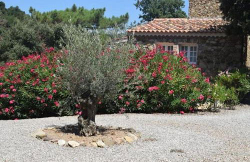 vakantiewoning Emponse 7 - Foto 11