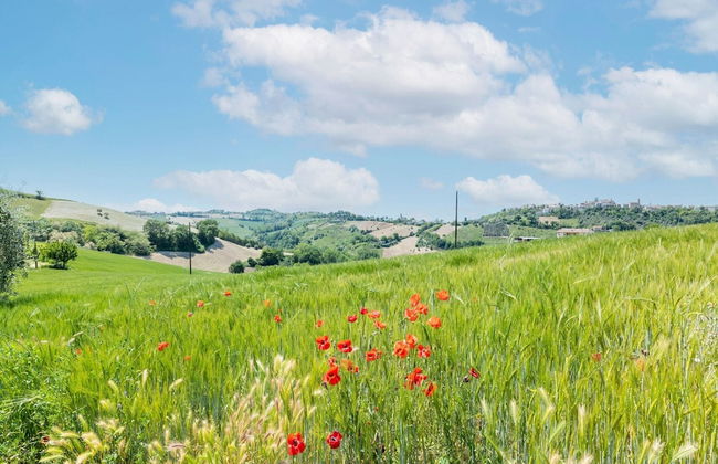 Holiday Home in Torchiaro With Garden - Foto 33