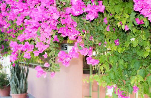 Carpe Diem Studios - Foto 37