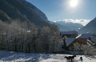 Mazot de Joe avec son hammam entre la Clusaz et Annecy - Foto 6