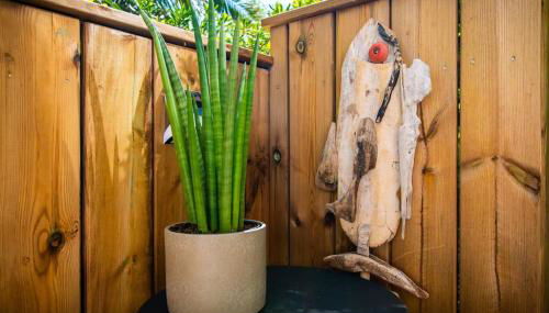 Le Murmure du Palmier * Mer à 2 min * Parking Privé * Terrasse - Foto 3