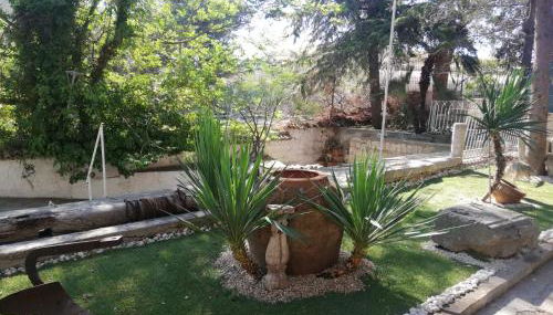 Wild Paradise - Foto 3, Garden