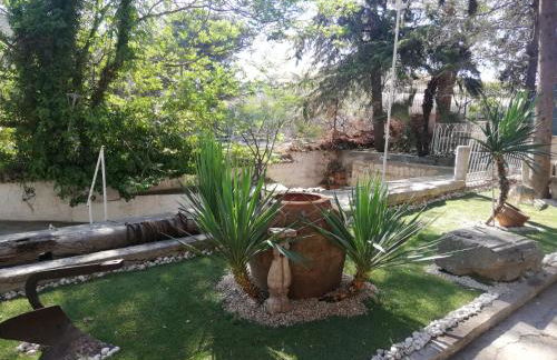 Wild Paradise - Foto 3