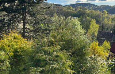 Dom Na Wzgórzu - Foto 78