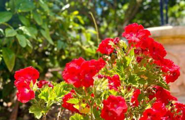 VillaFerrel - Beach&Waves - Foto 22