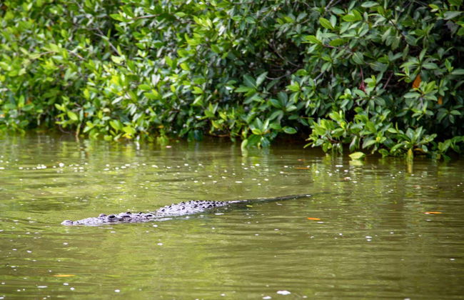 Las Coloradas Natural Park Trip - Photo 9