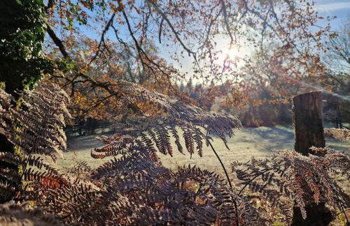 Maison dans un havre de paix - Foto 13