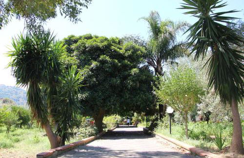 La Casa Dell'antiquario - Foto 15