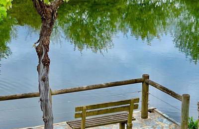 Casa do Rio Alva - Foto 15