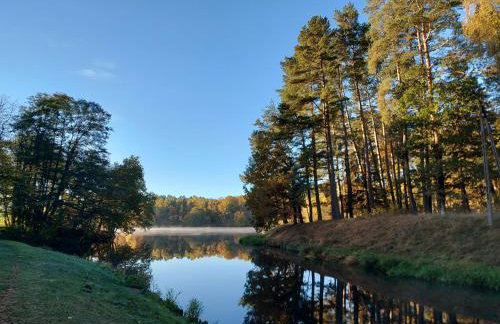 Calm House Krzynia - dom nad jeziorem do wynajęcia - Foto 10