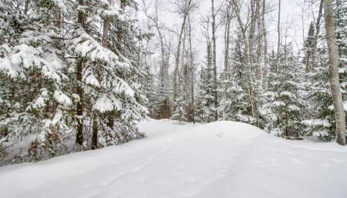 Nashwauk Studio with Ice Fishing on South Fork Lake - Foto 2