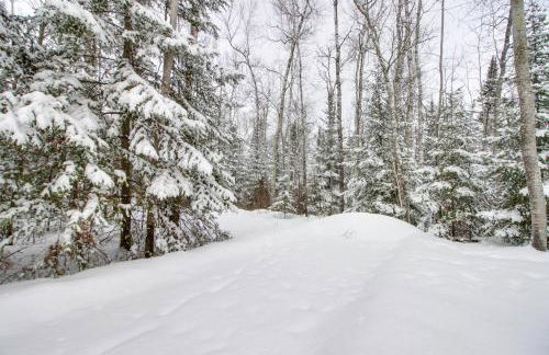 Nashwauk Studio with Ice Fishing on South Fork Lake - Foto 2