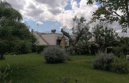 Villa in a lovely olive grove 10 minutes from the sea Ada residence - Foto 3