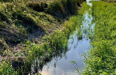 Ferienresidenz am Salzhaff - Foto 26