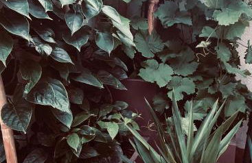 Figueres Center - Foto 40