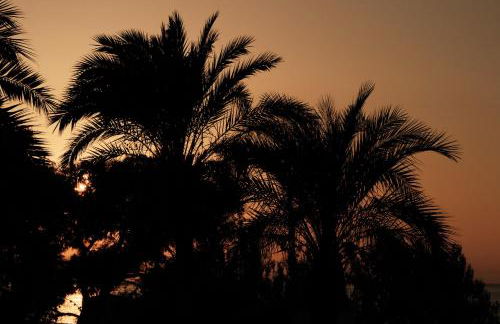 Prinsotel La Caleta - Foto 63