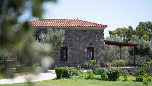 Villa & Stone House with Pool, 10 Mins to Skala Eressos Beach - Foto 4, Garden, Garden view