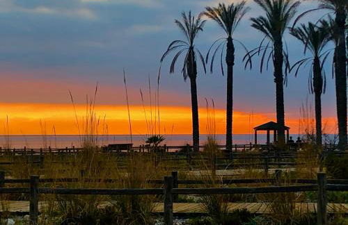 ATICO Costa TOYO - Foto 25