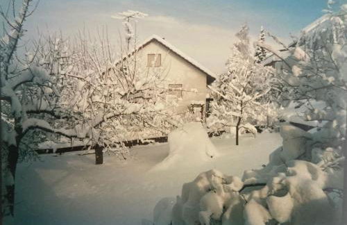 Schwarzwald-Oase für bis zu 10 Personen - Foto 28