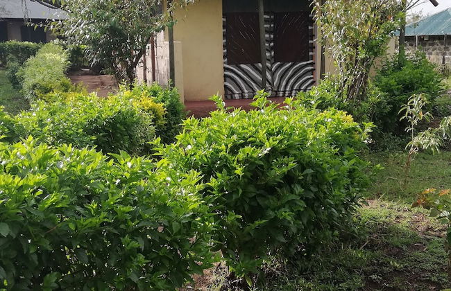 Mara Forest camp - Foto 6