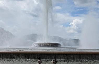 Pet Friendly 3 Bdrm House with Private Yard - Foto 31