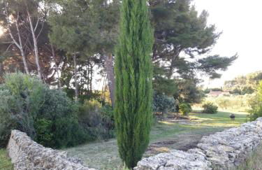 Gîte " Le Clos de la Pinède " - Foto 17