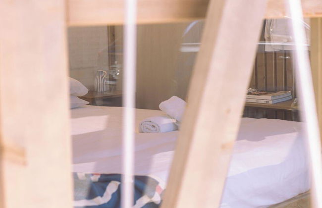 Taiga Almeria Playa - Photo 12