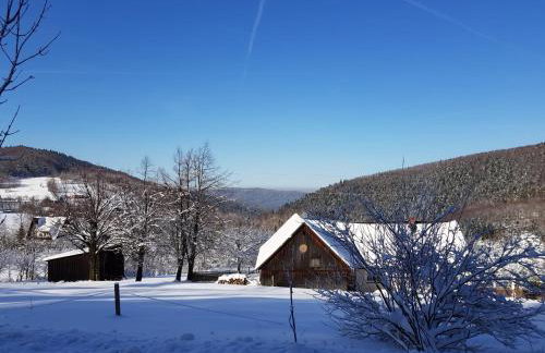 Willa Juszczyn - Foto 12