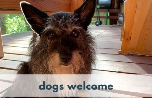 Ferienhaus Marianna am See - free Sauna, Ruderboot, Kajak & WLAN - Photo 44