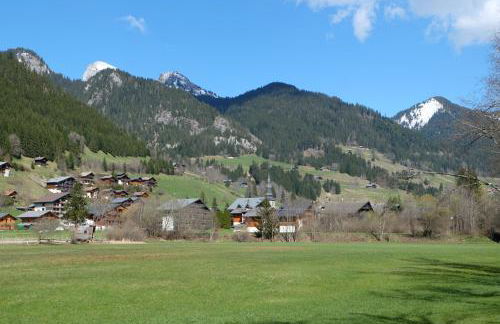 Apt A04 terrasse, village et ski à pied avec sauna, fitness et tennis - Photo 52