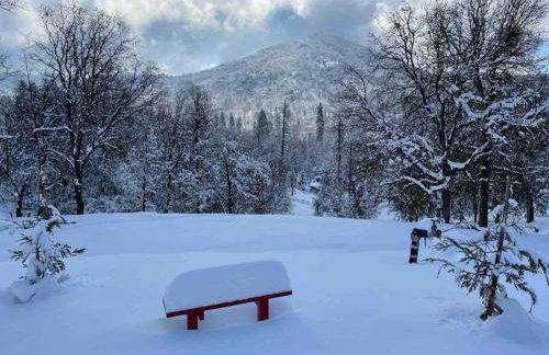 Modern House on 5 acr in Sequoia National Forest - Foto 36
