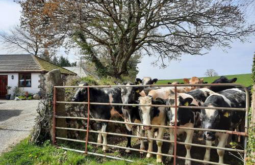 The Studio with Terrace and EV point - Photo 34