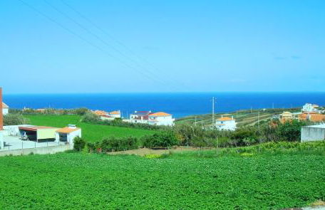 Campo de Oleandros - Foto 37