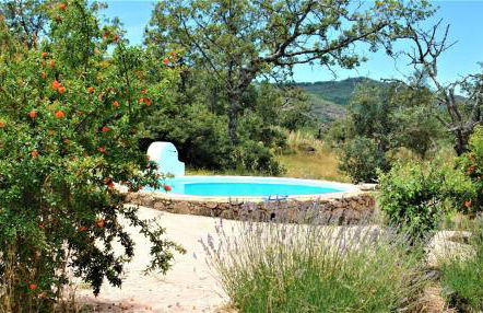 Quinta Do Marvao - Photo 78