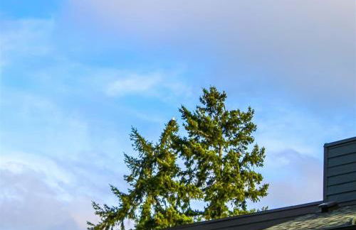 Sq Orca Oasis - Foto 29