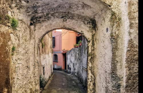Cortile di San Leo - Foto 33