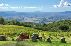 VALDONICA WINERY Fine Dine & Wine Hotel - Foto 9