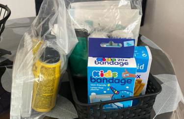 La « cabaneste » dans Arreau - Photo 33