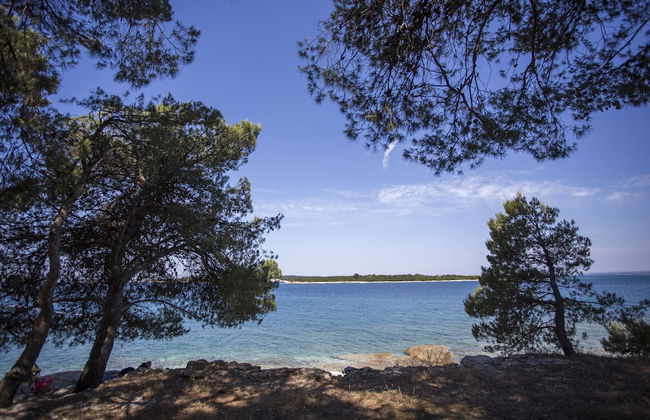 Adrion Aparthotel - Photo 46