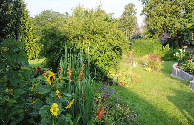 Apartment in Gorlitz With Historic Charm - Foto 16