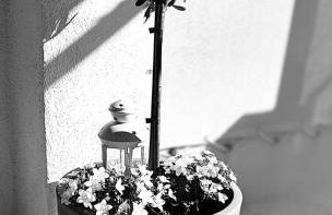 L'ALPILLE - Maison de vacances située à 10 mn à pied du centre ville de St Rémy avec place de parking privative - Foto 9