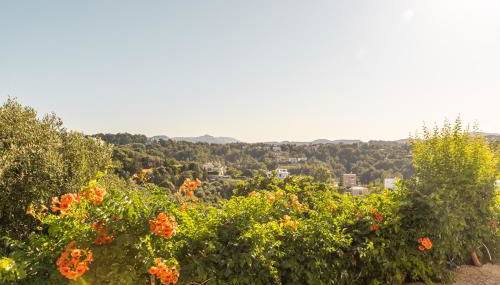 Nikargy Avra - Foto 5