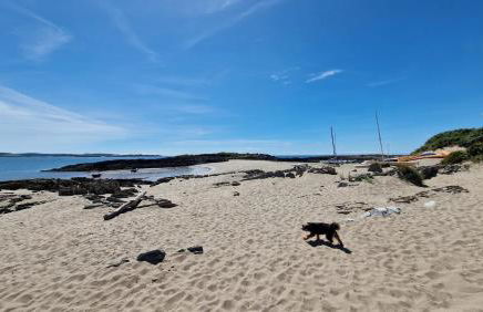 Nordlys Cottage - Foto 73