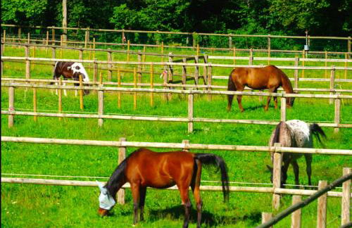 Gîtes du Tichweg - Foto 23